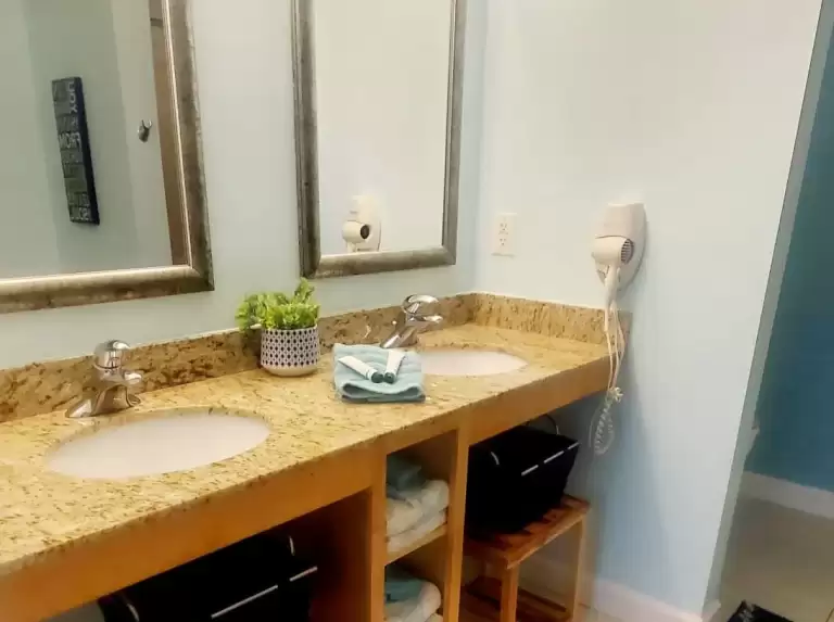 Master Bath (2 Sinks)